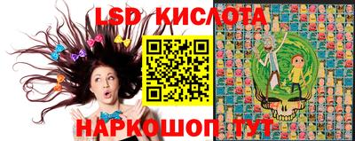spice Будённовск