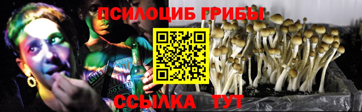 Стрежевой  Псилоцибиновые грибы MAGIC MUSHROOMS  Вход с VPN 