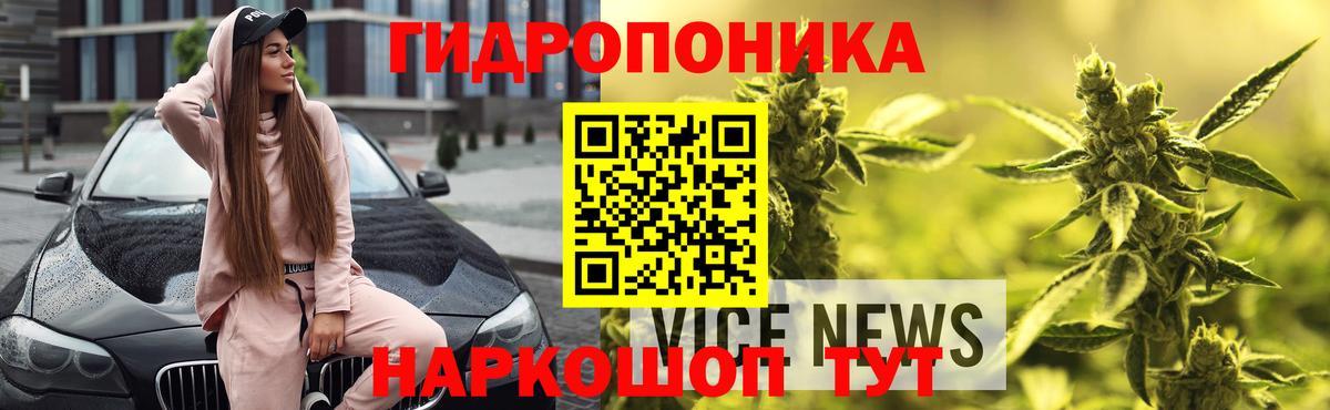 Бошки Шишки Ganja  Вход с VPN  Стрежевой  Шишки марихуана план  Марихуана OG Kush 